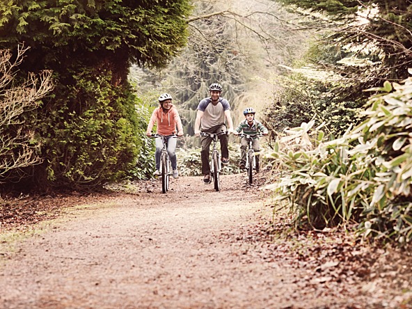 RIDGE%20BIKES