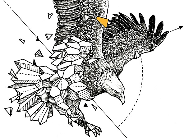 Eagle%20crop