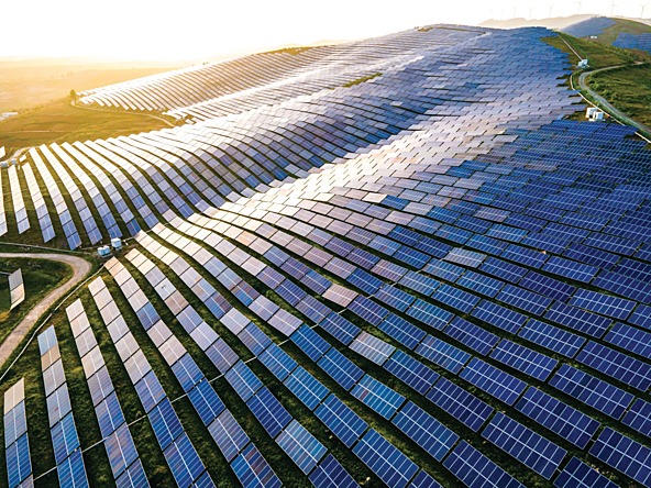 a field of solar panels