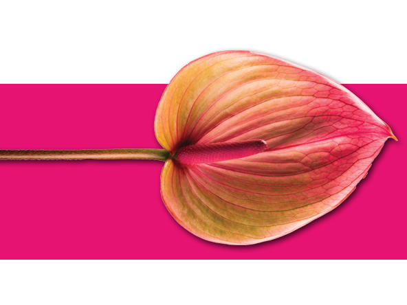 Flowerblock1
