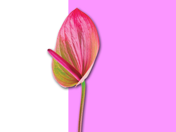 Flowerblock2