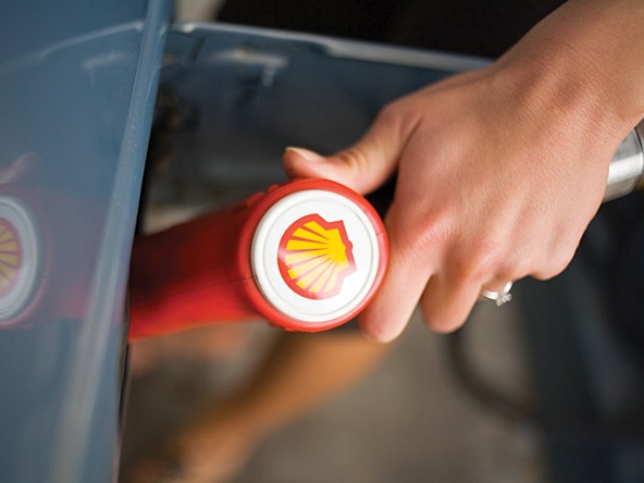 Shell-3